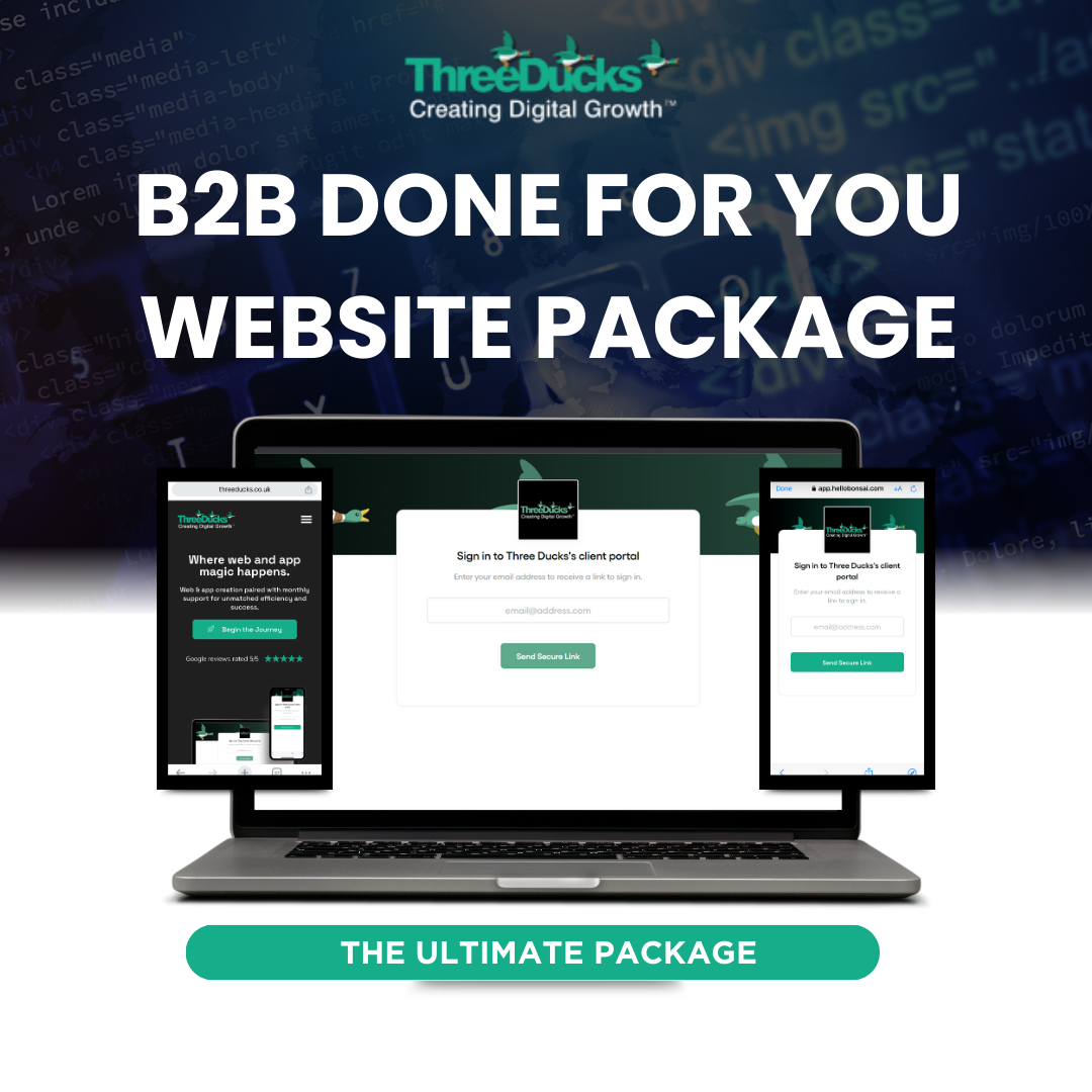 b2b done for you website package